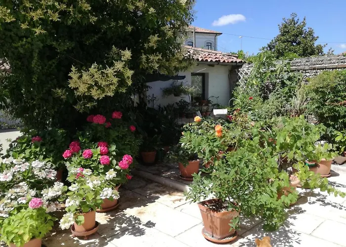 B&B Le Ortensie