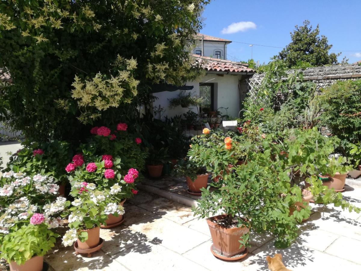 Le Ortensie Castagnole